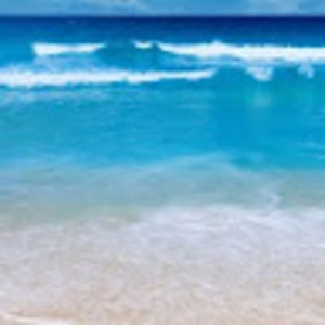 Meet your Posher, Yesenia